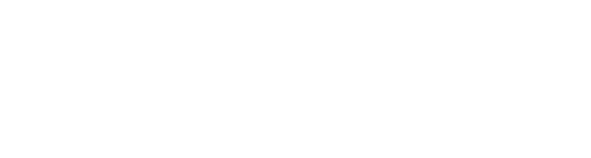 level10 Logo